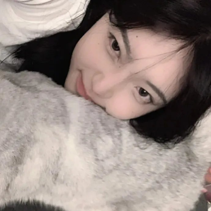 毛毯猫